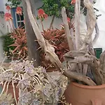 Casa de hóspedes Kyma Sto Phos 3*