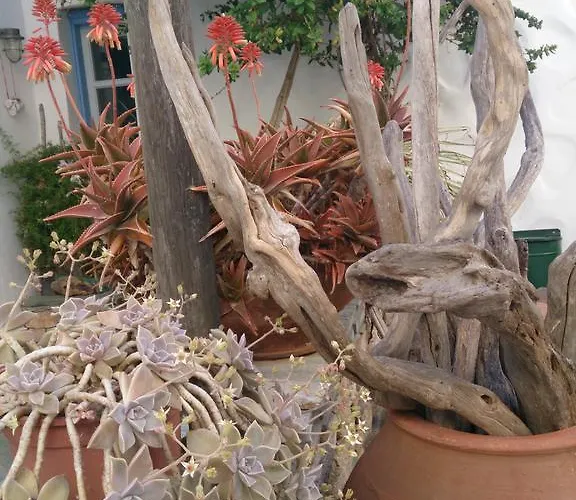 게스트하우스 Kyma Sto Phos 3*